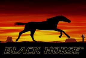 Black Horse™