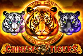 Chinese Tigers