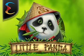 Little Panda