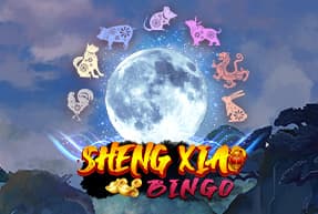 Sheng Xiao Bingo